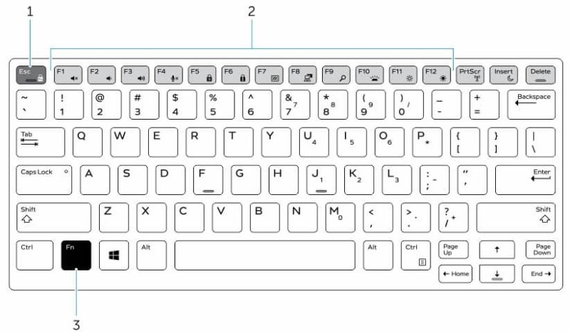 How Do I Lock And Unlock The Fn Key - Wave Tech Global