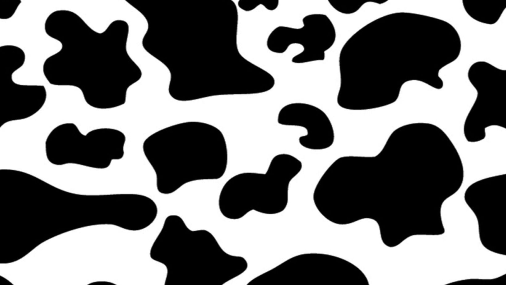 cow print wallpaper iphone